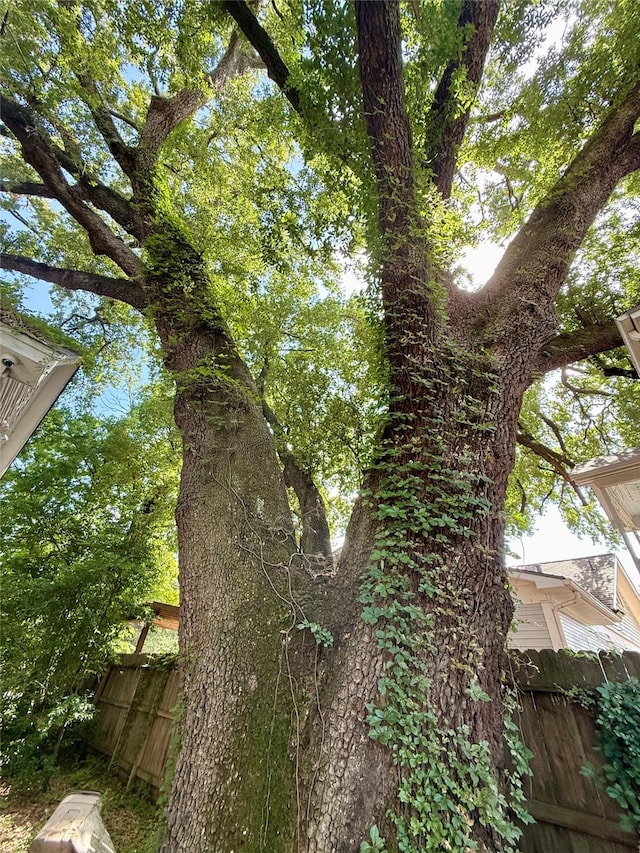 505 E 15th St, Houston, TX 77008 - photo 6