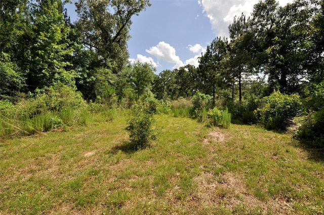 Listing photo 3 for 26150 Grand Pines Rd, Magnolia TX 77355