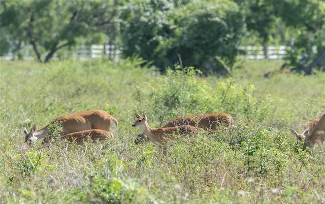 Listing photo 3 for 001 Steele Rd, Highlands TX 77562