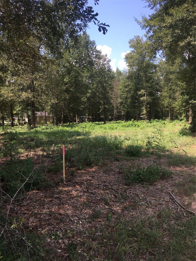 TBD Farm Rd Unit 3459, Onalaska TX, 77360 land for sale