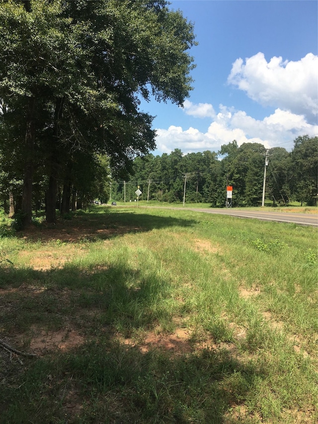 Listing photo 2 for TBD Farm Rd Unit 3459, Onalaska TX 77360