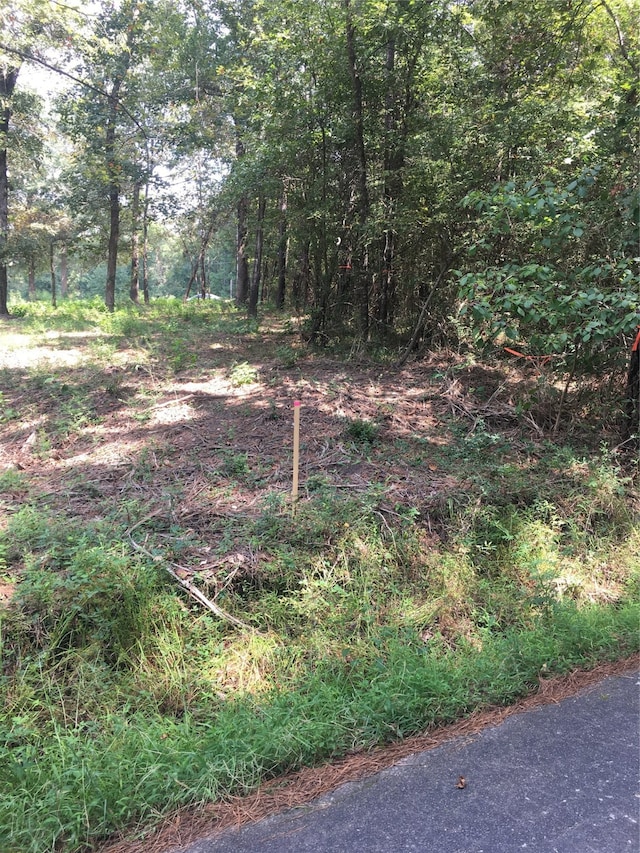 Listing photo 3 for TBD Farm Rd Unit 3459, Onalaska TX 77360