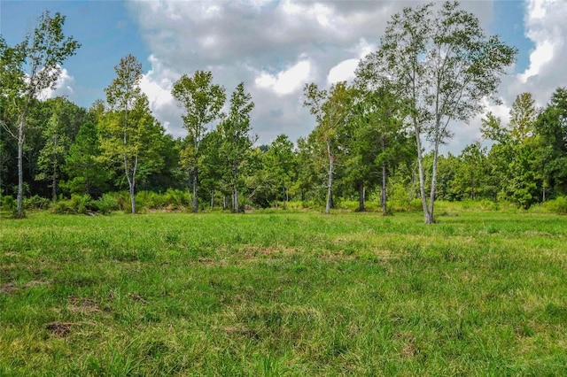 2.24AC Highway 321, Cleveland TX, 77327 land for sale