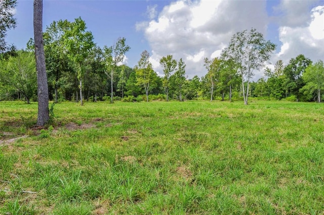 Listing photo 2 for 2.24AC Highway 321, Cleveland TX 77327