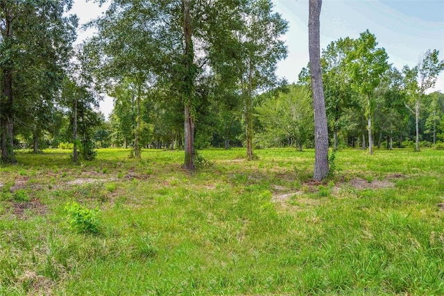 Listing photo 3 for 2.24AC Highway 321, Cleveland TX 77327