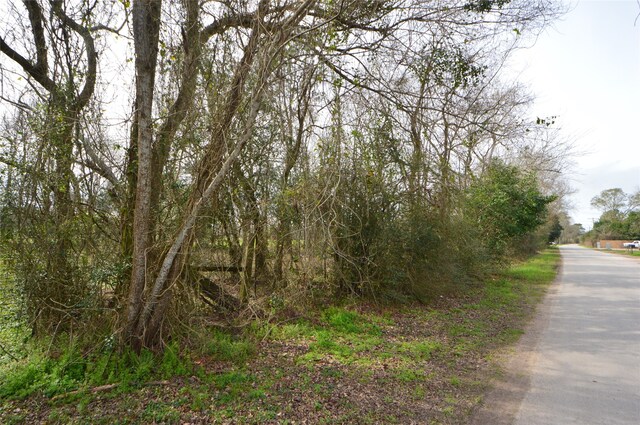 TBD000 Wiggins, Conroe, TX 77302 - photo 3