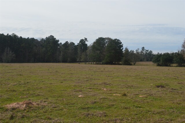 TBD000 Wiggins, Conroe, TX 77302 - photo 4