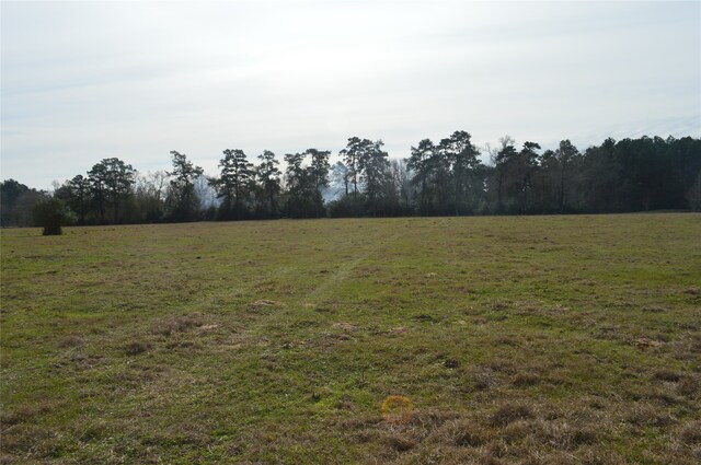 TBD000 Wiggins, Conroe, TX 77302 - photo 1