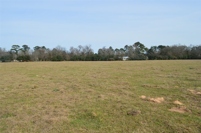 TBD000 Wiggins, Conroe, TX 77302 - photo 5