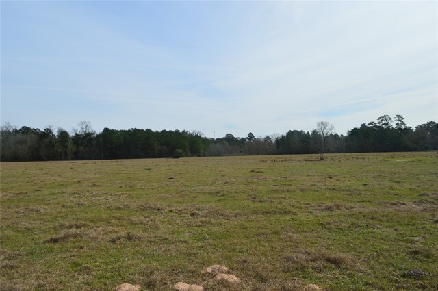 TBD000 Wiggins, Conroe, TX 77302 - photo 2
