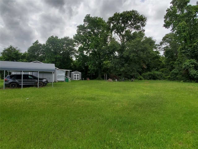 view of yard featuring a storage shed