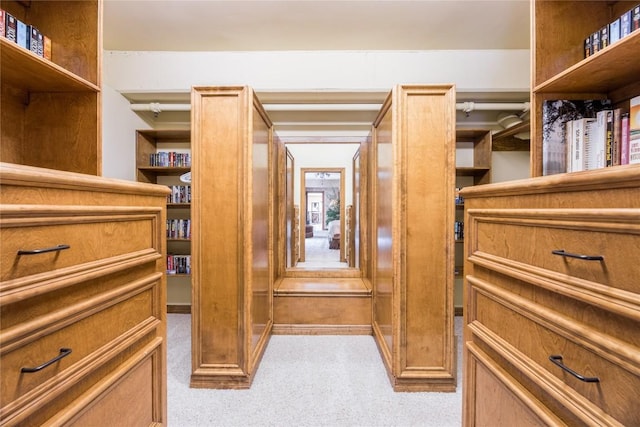 walk in closet featuring light colored carpet