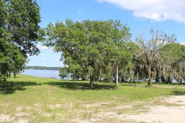 Listing photo 3 for 101 Lewis Stanford Dr, Onalaska TX 77360