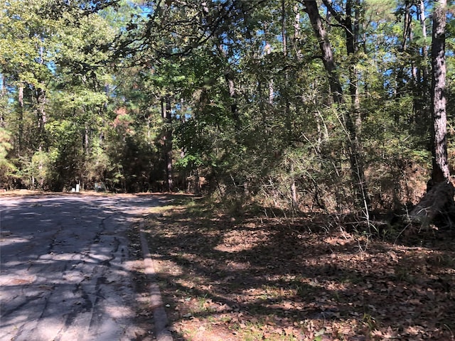 Listing photo 3 for LOT9 Rohm Pl, Huntsville TX 77320