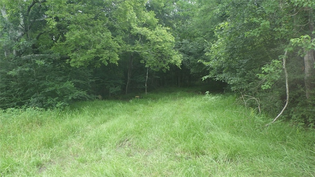 630 Fm 2917th Rd, Alvin, TX 77511