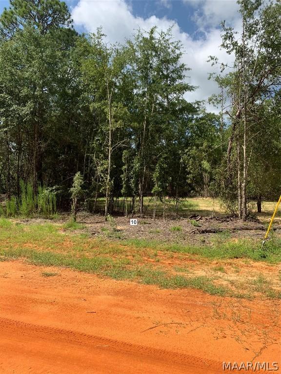 LOT10 Deer Loop, Camden AL, 36726 land for sale