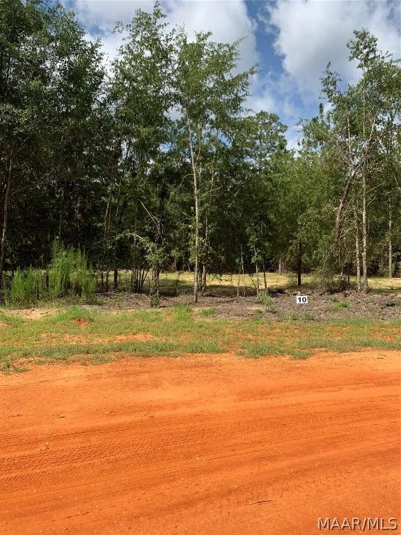 Listing photo 2 for LOT10 Deer Loop, Camden AL 36726