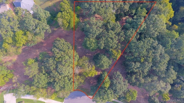 301 Firefly, Prattville, AL 36066
