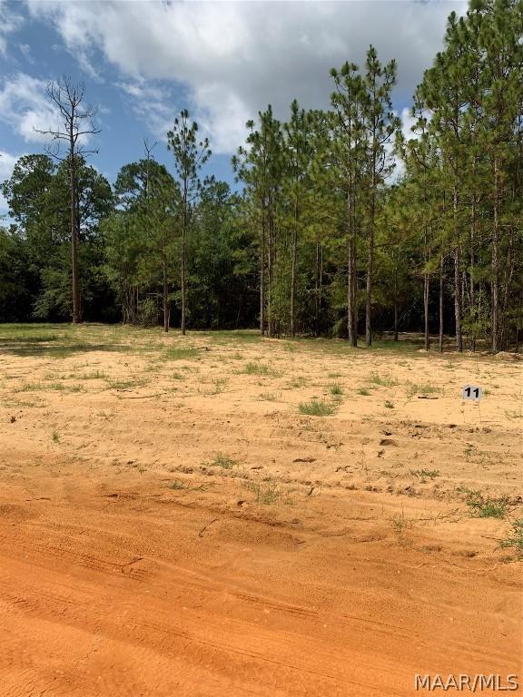 LOT11 Deer Loop, Camden AL, 36726 land for sale