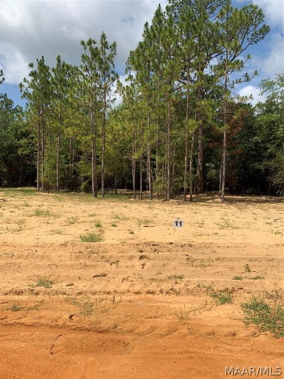 Listing photo 2 for LOT11 Deer Loop, Camden AL 36726