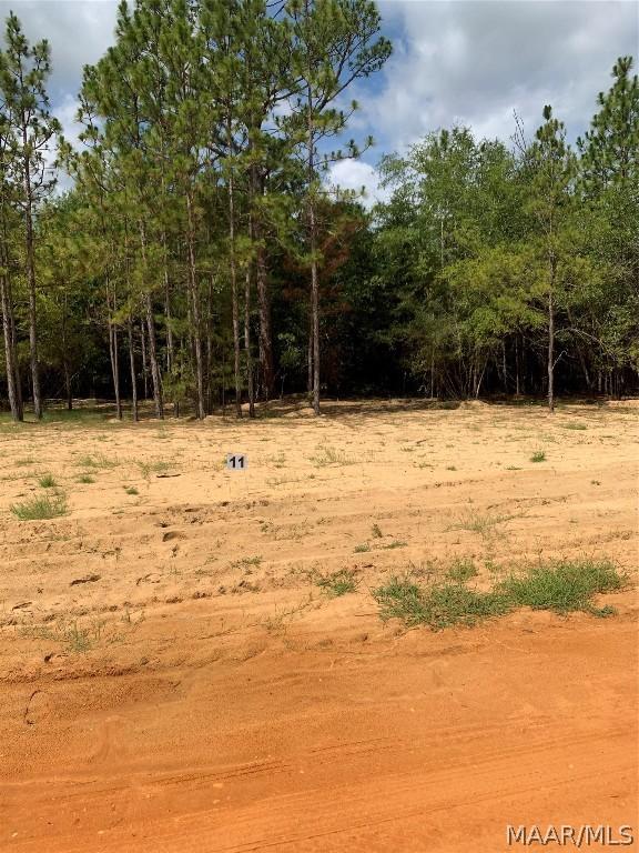 Listing photo 3 for LOT11 Deer Loop, Camden AL 36726