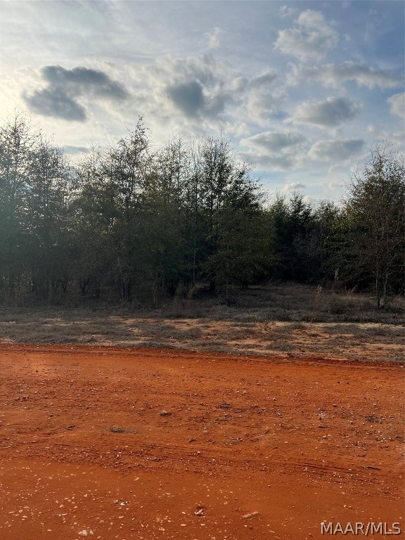 LOT21 Deer Loop, Camden AL, 36726 land for sale