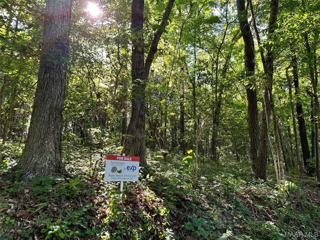 LOT2 Ann Dr, Eufaula, AL 36027