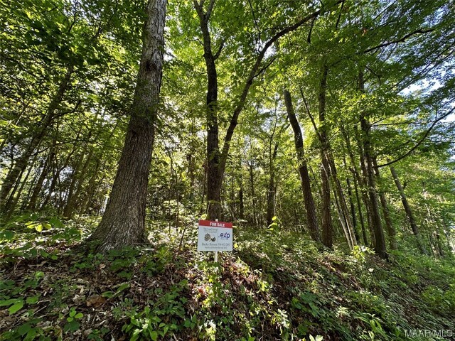 LOT2 Ann Dr, Eufaula, AL 36027