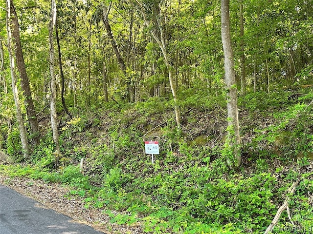 LOT3 Ann Dr, Eufaula, AL 36027 - photo 4