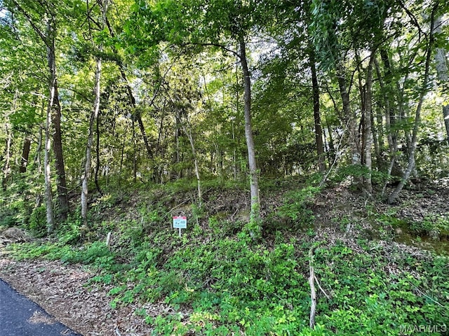 LOT3 Ann Dr, Eufaula, AL 36027 - photo 5