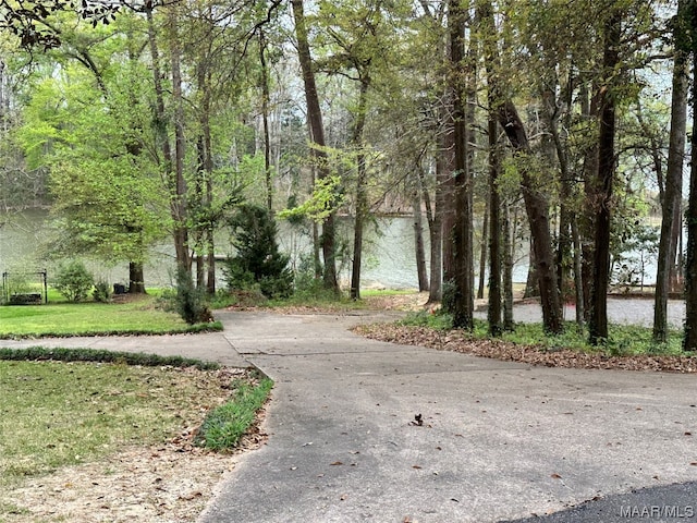 LOT3 Ann Dr, Eufaula, AL 36027 - photo 6