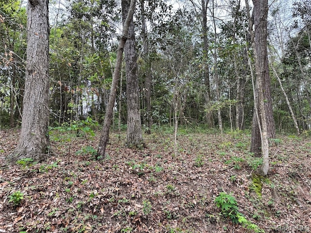 LOT3 Ann Dr, Eufaula, AL 36027 - photo 7