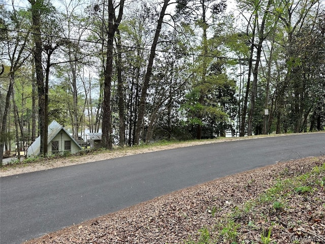 LOT3 Ann Dr, Eufaula, AL 36027 - photo 8