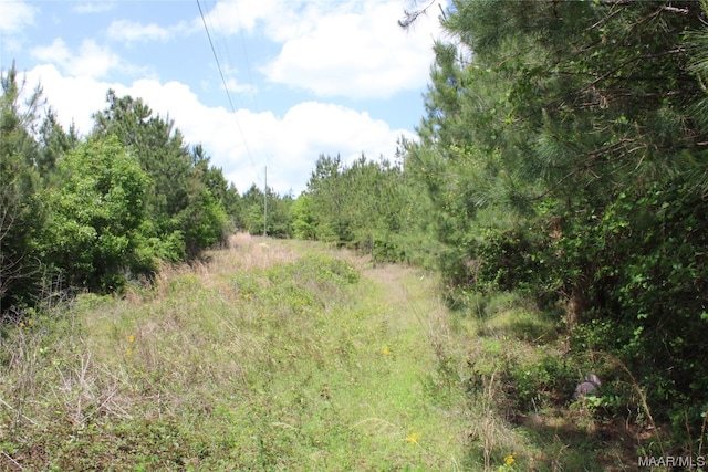 Listing photo 3 for 0 Keith Ln, Prattville AL 36067