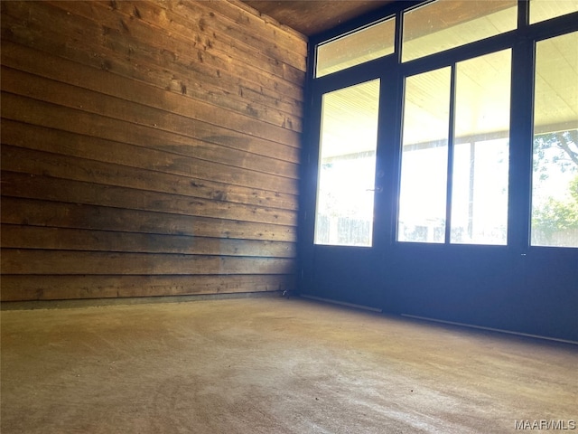 spare room with wooden walls, a wealth of natural light, and light carpet