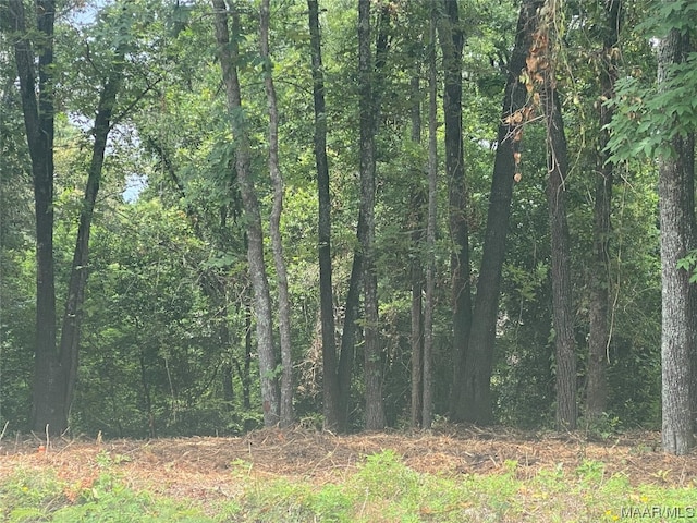 232 Nixon Rd, Millbrook AL, 36022 land for sale