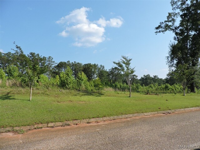 1 White Oak Way, Greenville, AL 36037 - photo 4