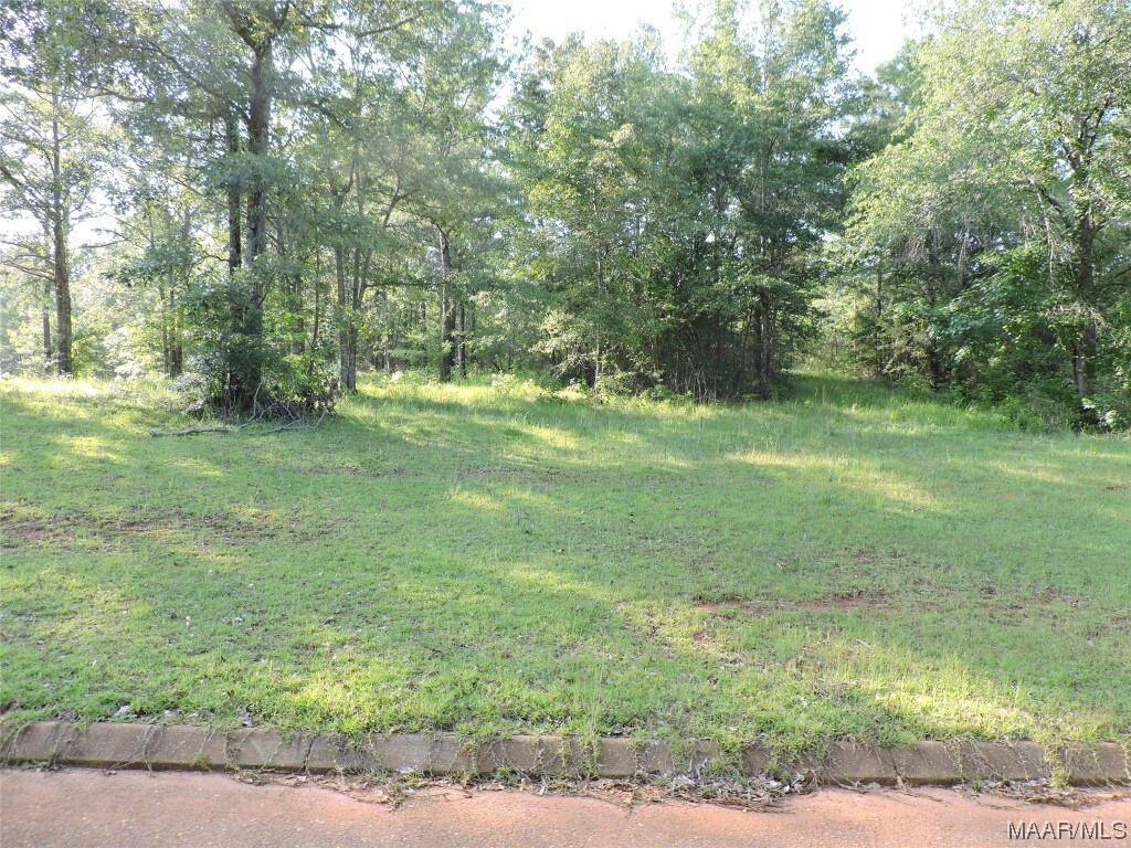 LOT16B White Oak Way, Greenville, AL 36037 - photo 1