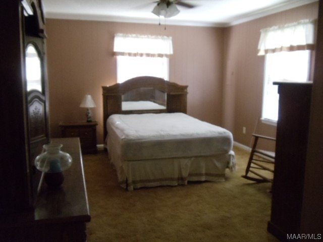 bedroom featuring crown molding, ceiling fan, and dark colored carpet