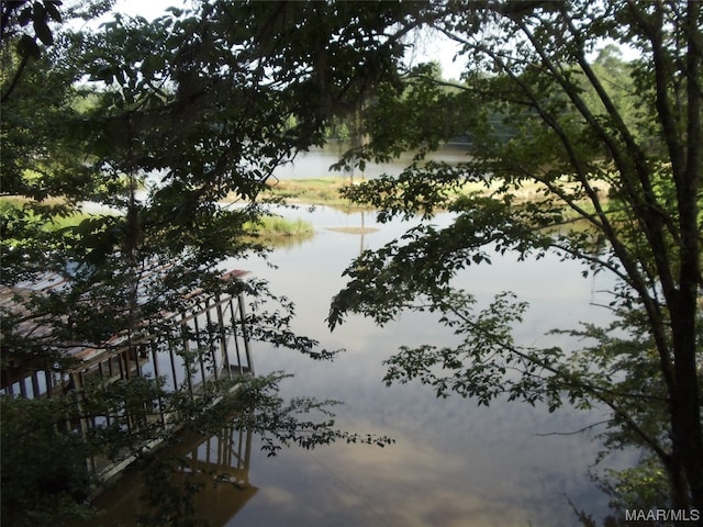 view of nature with a water view