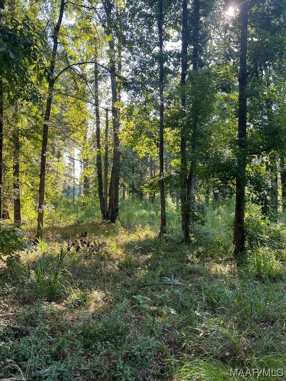 1506 Barganier Rd, Cecil AL, 36013 land for sale