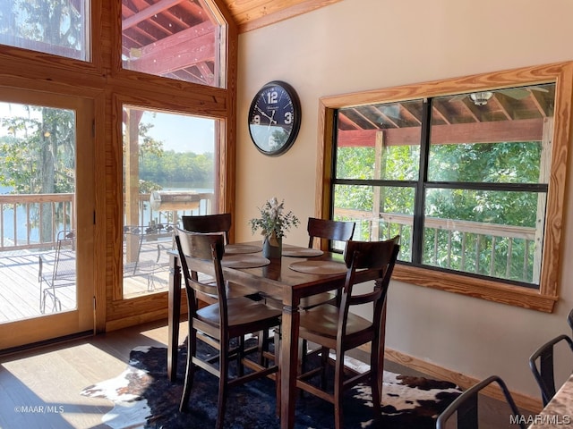 dining room with dark hardwood / wood-style flooring, a wealth of natural light, and vaulted ceiling