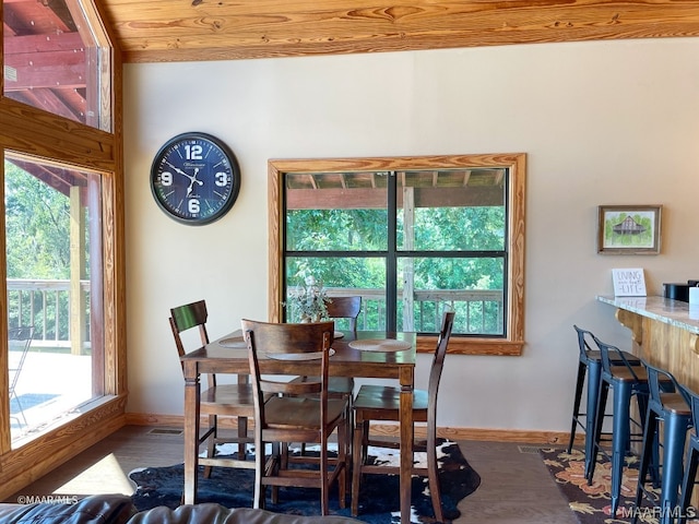 dining room with dark hardwood / wood-style floors and a wealth of natural light