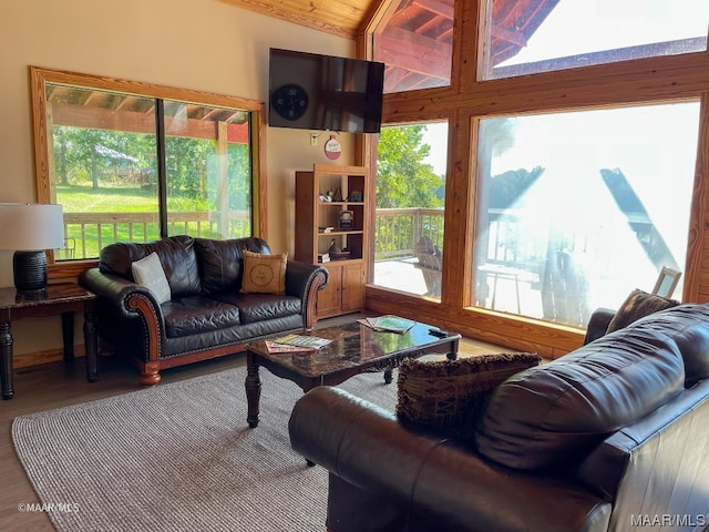 living room with wood ceiling, lofted ceiling, and dark wood-type flooring