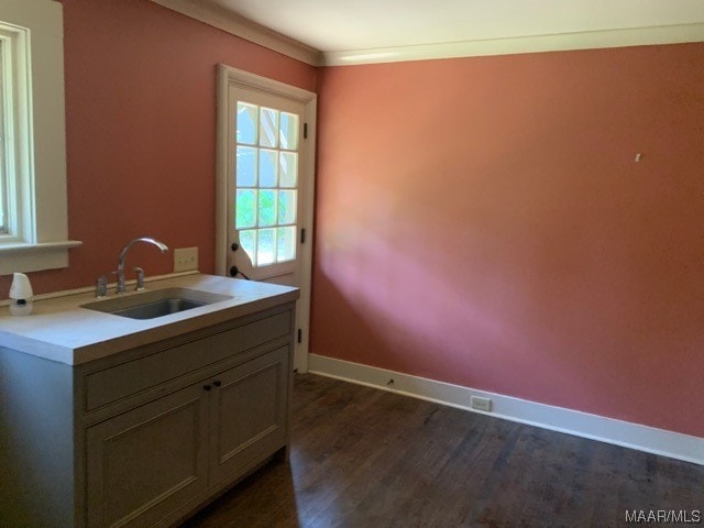 kitchen featuring ornamental molding, dark hardwood / wood-style floors, and sink