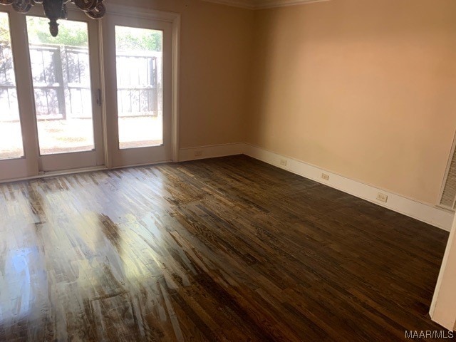 spare room with a healthy amount of sunlight and dark wood-type flooring