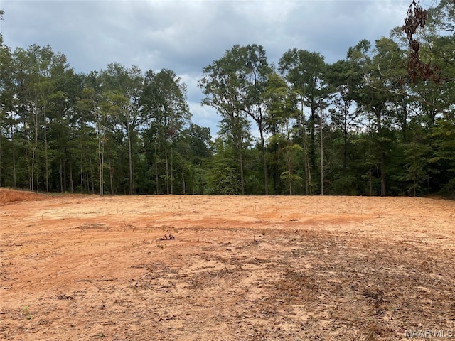 Listing photo 2 for 0 Lower Gainesville Rd Lot 7, Prattville AL 36067