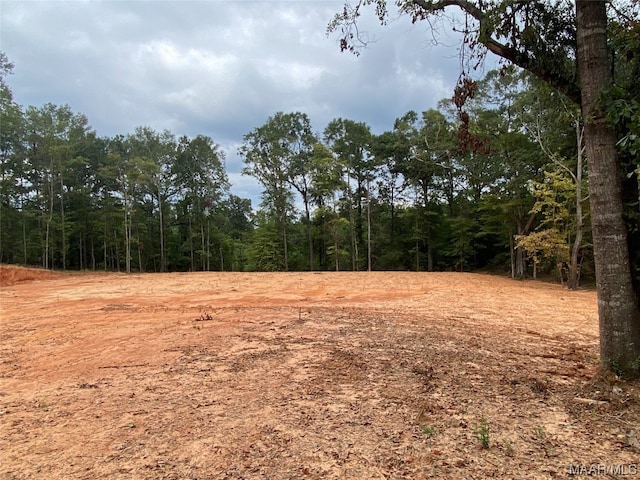 Listing photo 3 for 0 Lower Gainesville Rd Lot 7, Prattville AL 36067