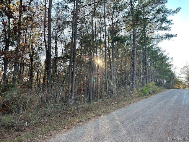 Listing photo 2 for 0000 Blueberry Rd, Dadeville AL 36853