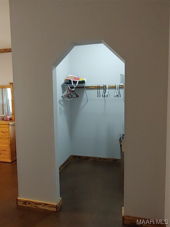 115 County Road 489th Rd, Verbena, AL 36091 - view of walk in closet